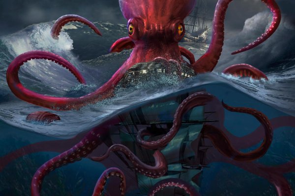 Kraken найдется все