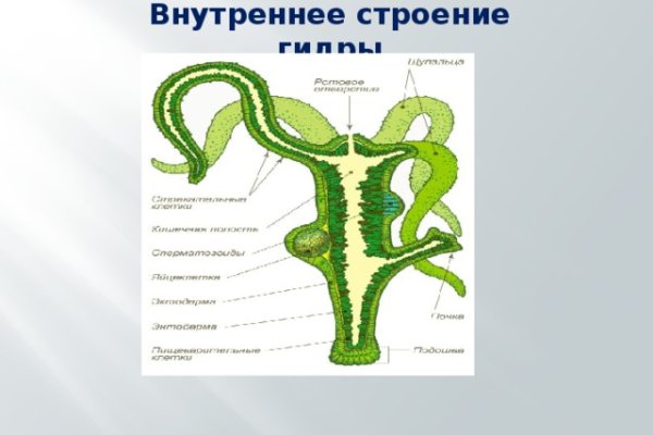 Не могу зайти на кракен