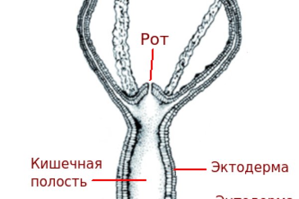 Кракен зеркало сегодня