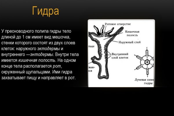 Как войти на кракен